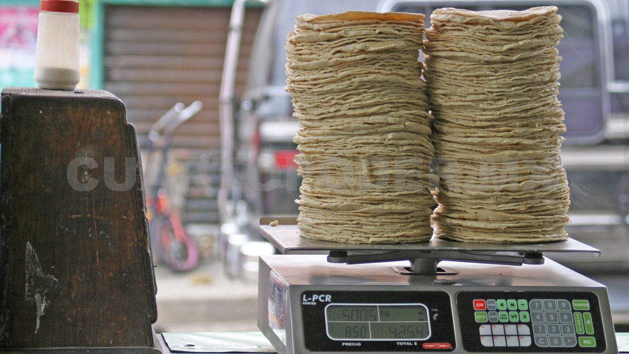 Bajar precio de la tortilla será complejo