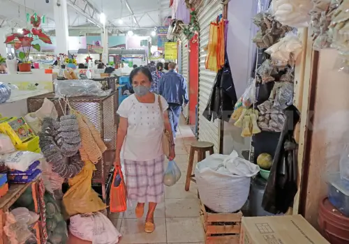 Hogares de Chiapas con los ingresos más bajos
