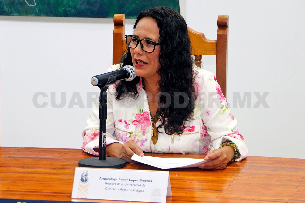 Colabora en fomentar DD. HH. y cero violencia