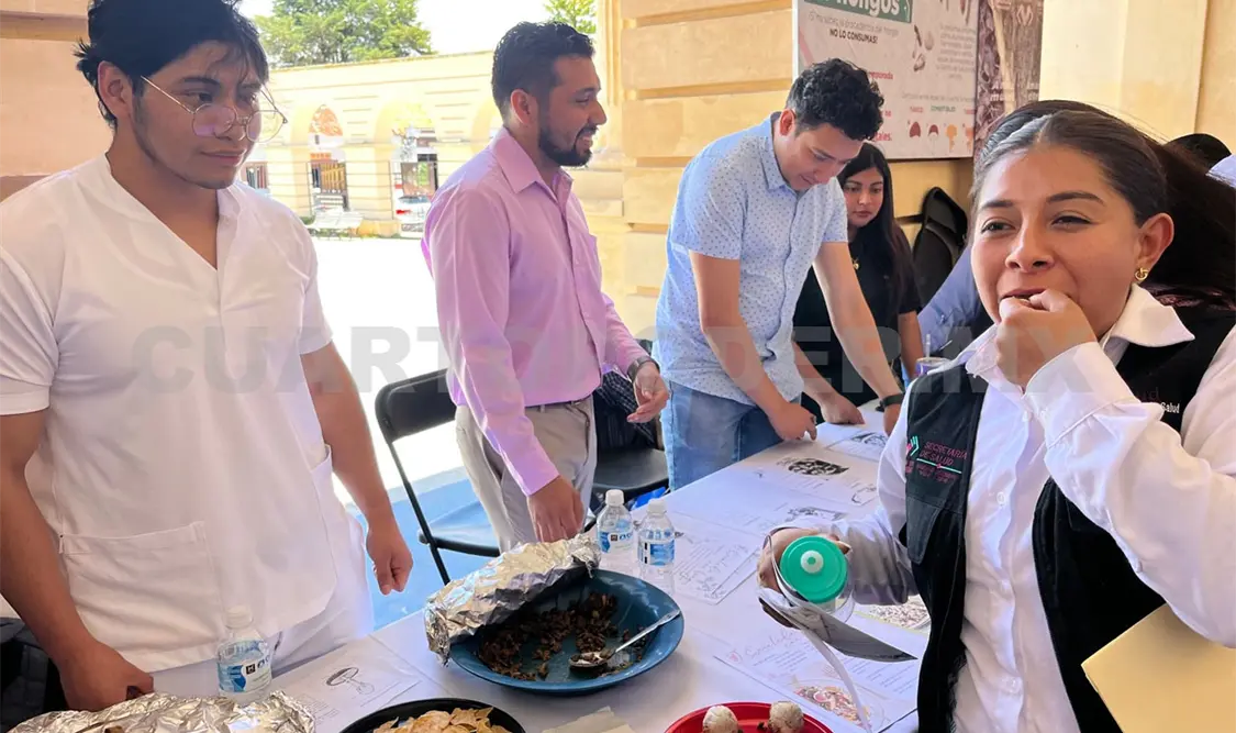 La Feria de Hongos Silvestres se realizó en los pasillos del Musac. Manuel Martínez / CP