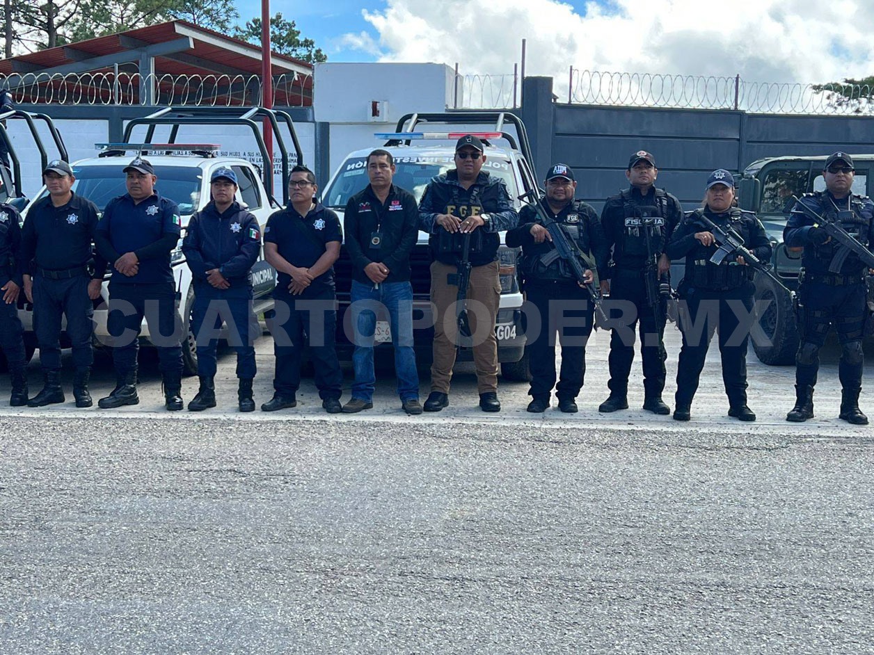 Realizan operativo contra delitos forestales