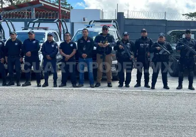 Realizan operativo contra delitos forestales