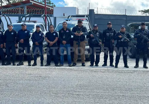 Realizan operativo contra delitos forestales