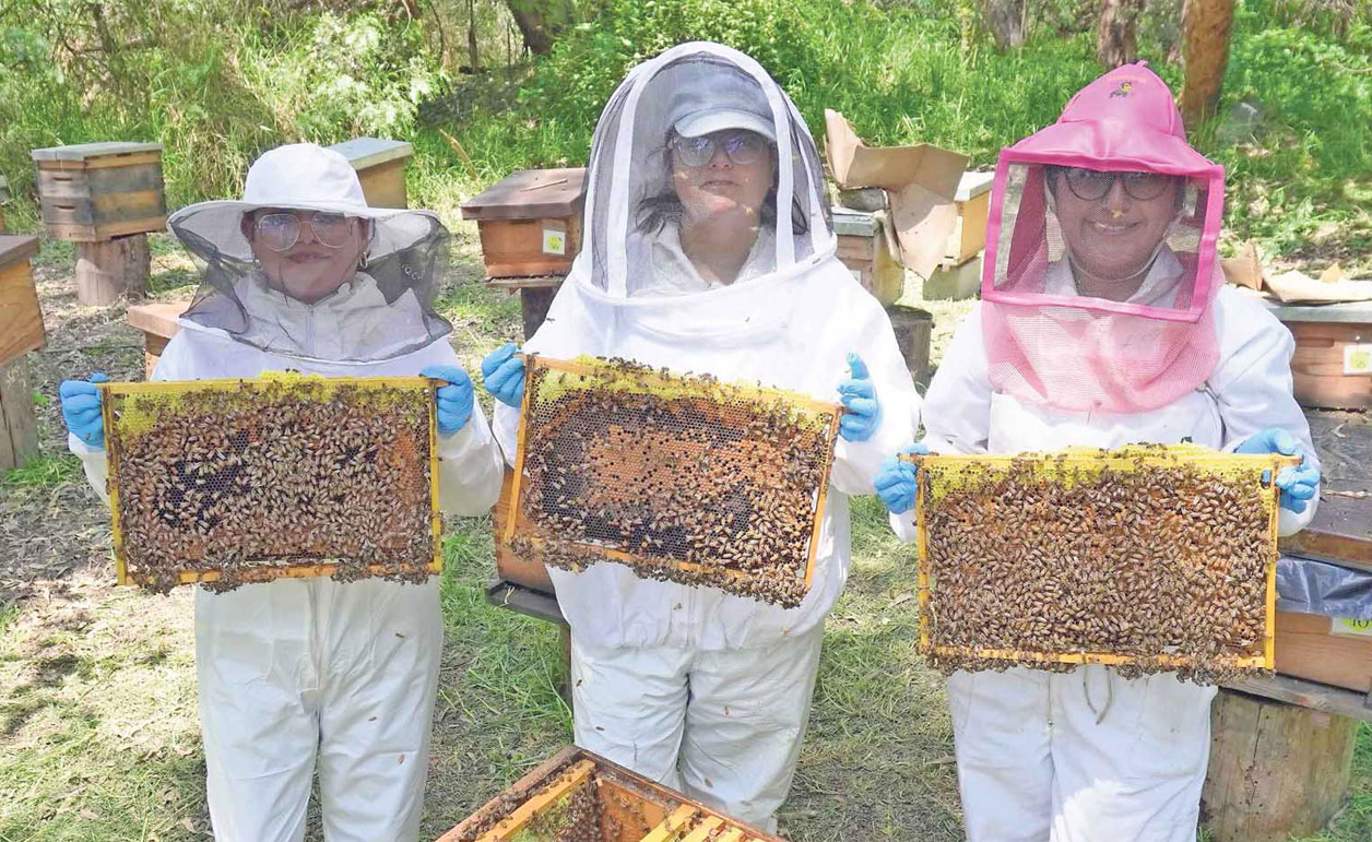 Si desaparecen las abejas también lo haremos nosotros