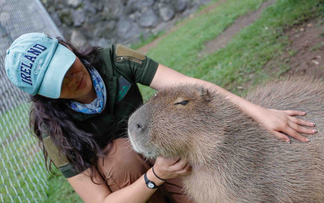 Conoce la Experiencia Animal en Zacango
