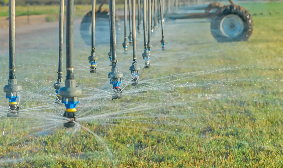 El uso actual del agua en la agricultura es ineficiente, señala Julio Berdegué. Cortesía