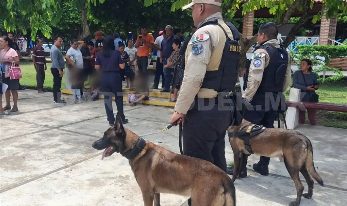 La niñez y las familias en general pudieron conocer la labor policíaca. Cortesía