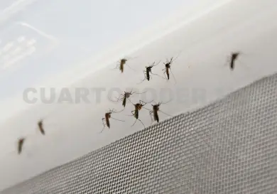 Más de 150 mil toneladas de cacharros levantadas