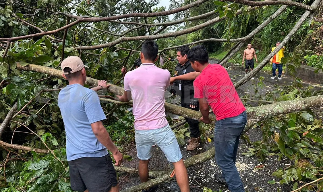 El tramo carretero Tuxtla Chico a Cacahoatán fue obstruido por la caída de un árbol. CP