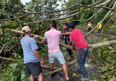 Liberan carretera por obstrucción