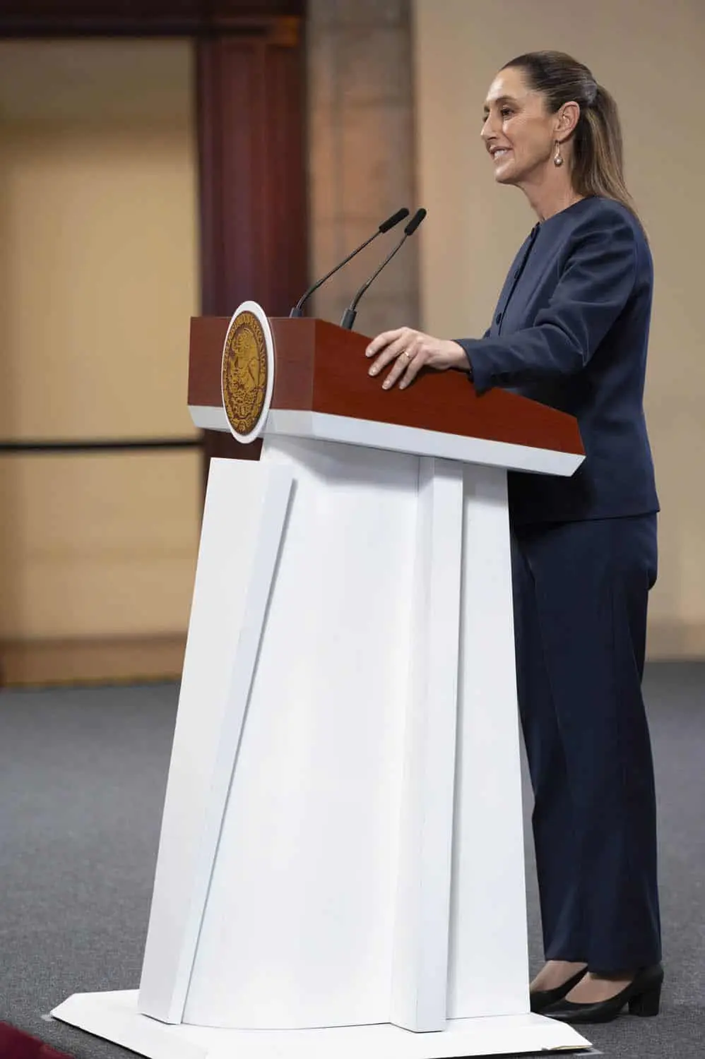 La consulta para la reforma electoral preguntará si las formaciones políticas reciben demasiado dinero y sobre los diputados plurinominales, dijo la mandataria. Cortesía
