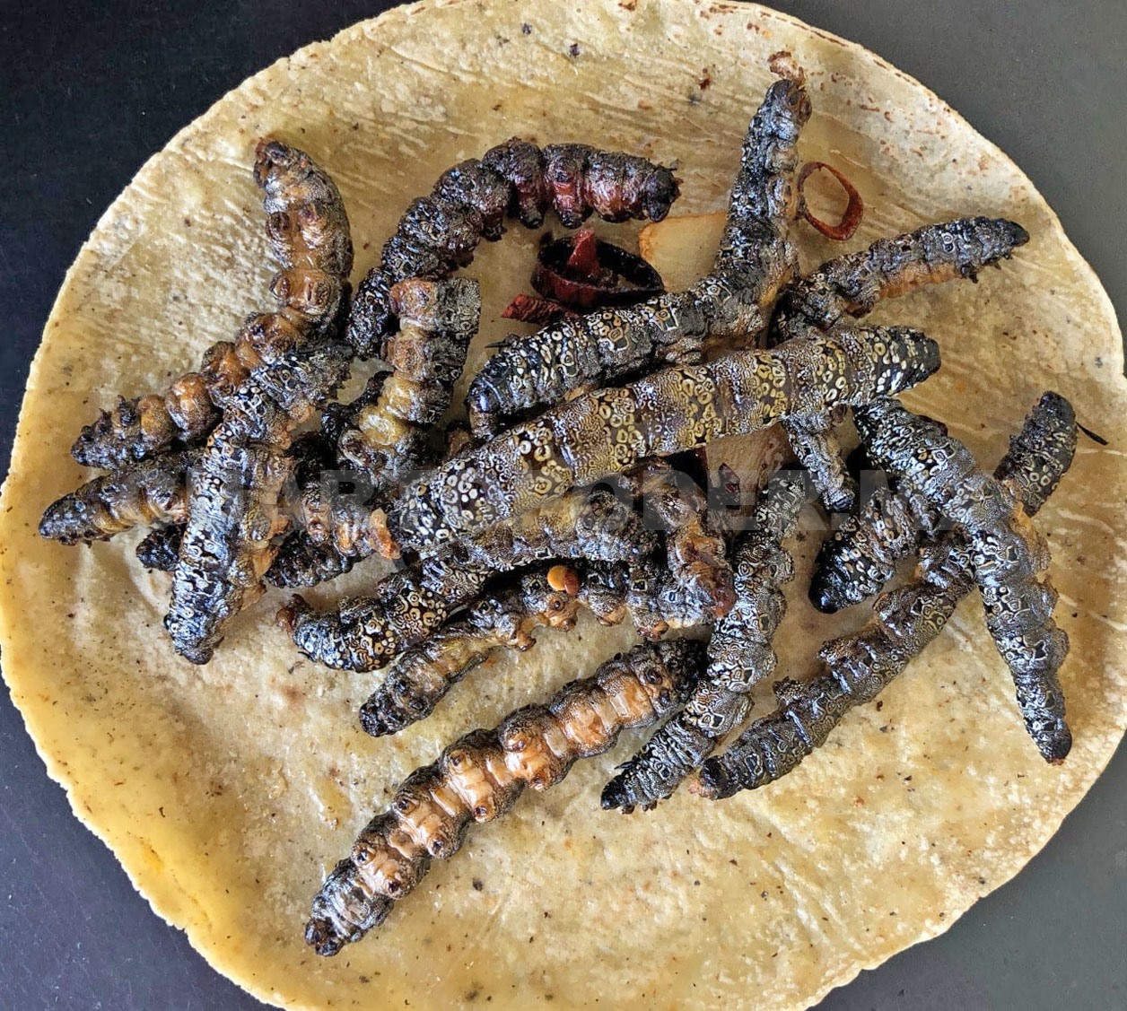Zats: joya gastronómica de la cultura chiapaneca