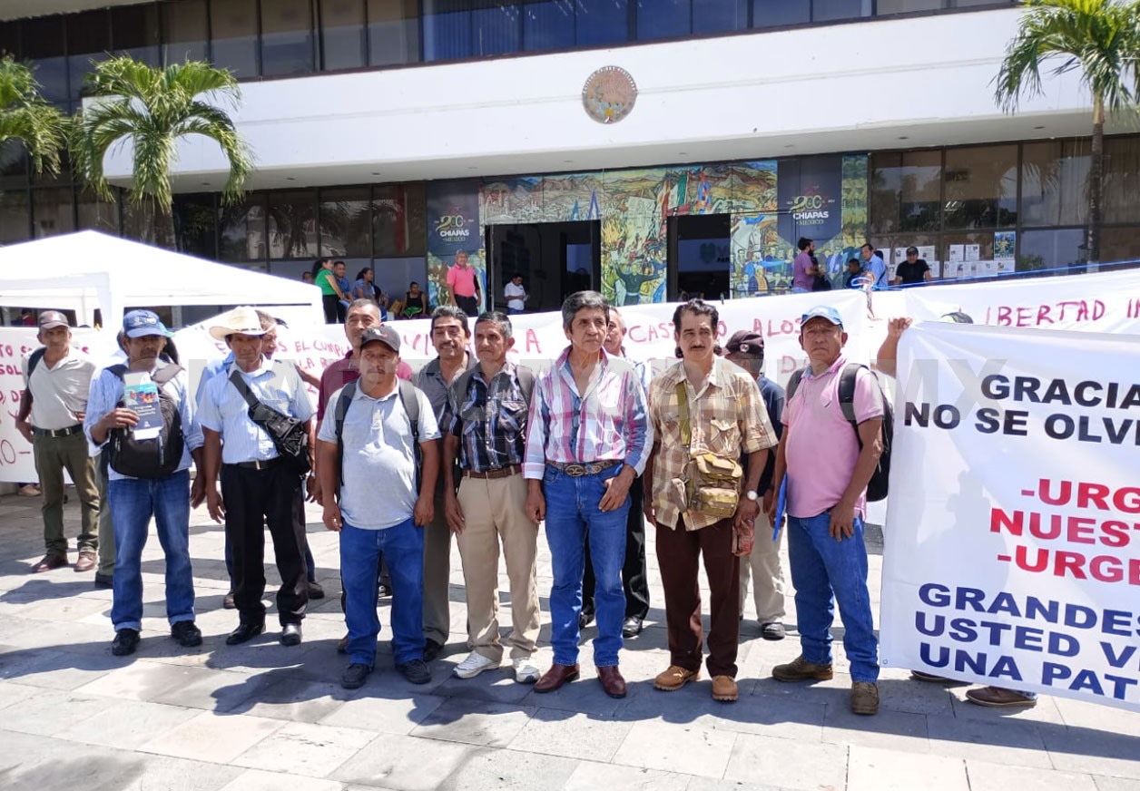 Cafetaleros piden renovación de plantaciones