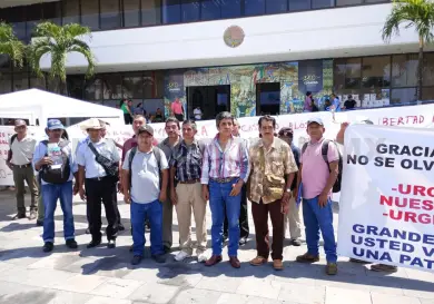 Cafetaleros piden renovación de plantaciones