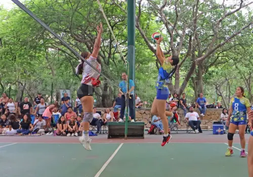 Resultados claros en la semana 4
