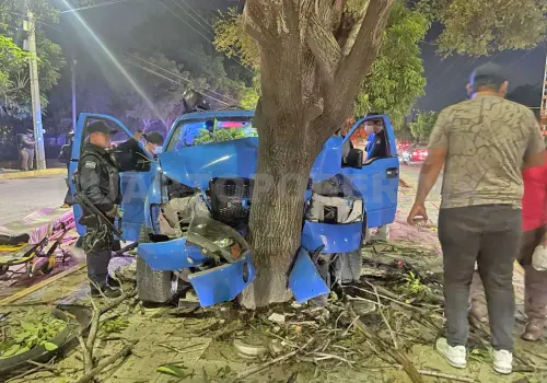 Se estrella automovilista contra un árbol y huye