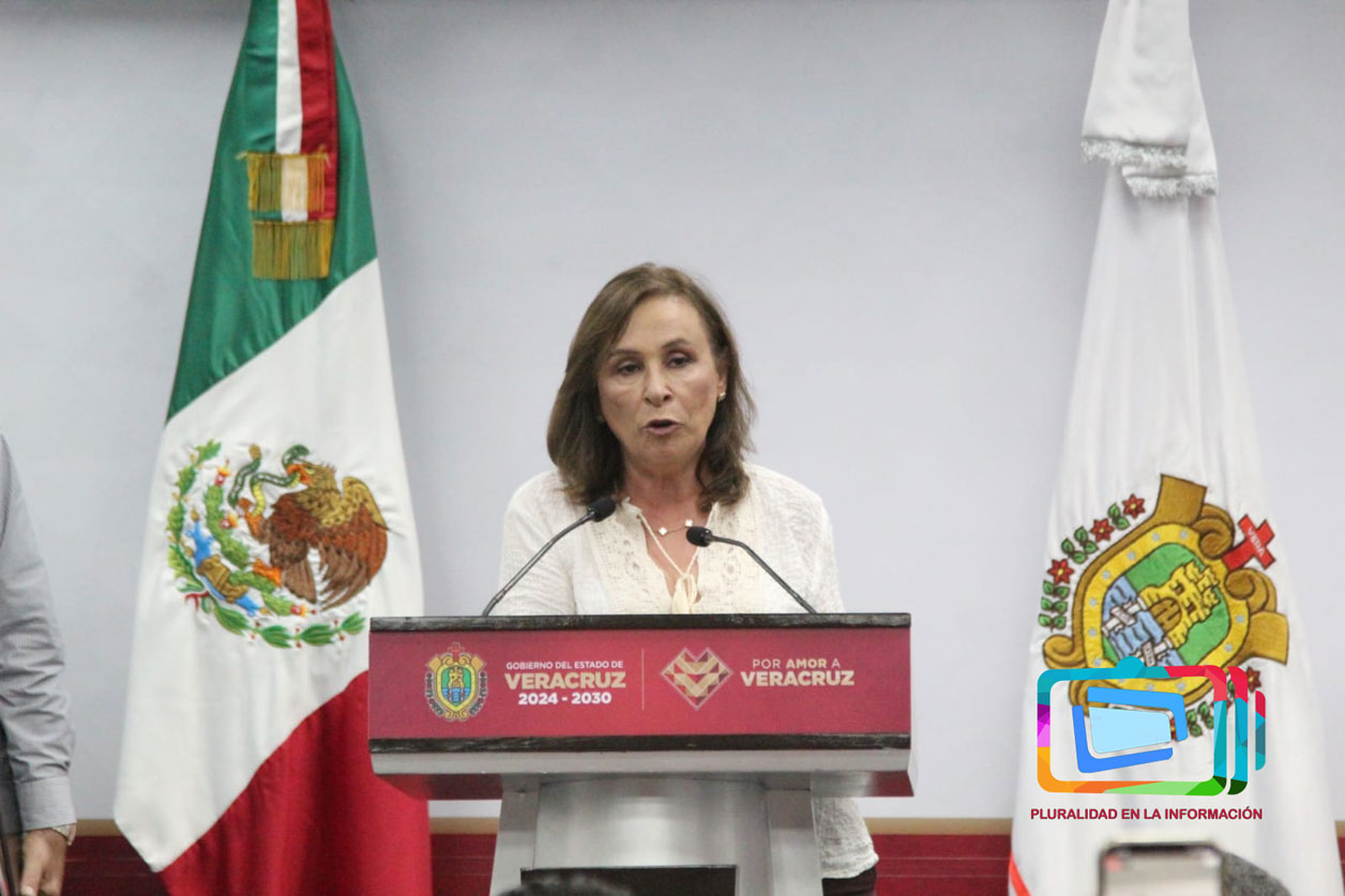 En Veracruz también es temporada de zopilotes