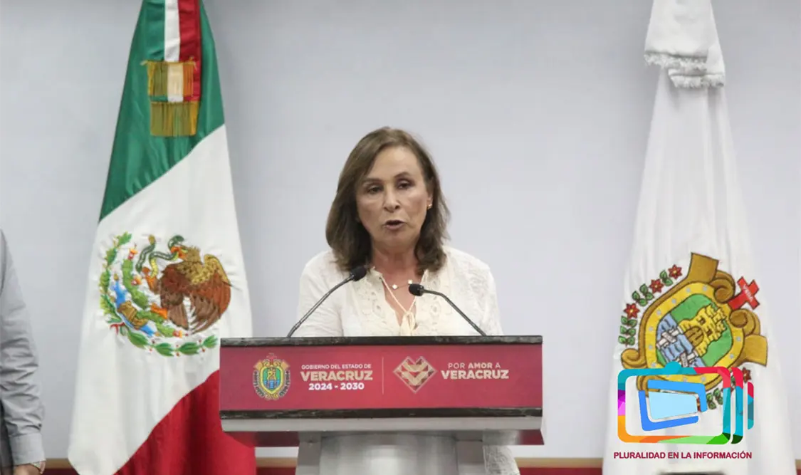 En Veracruz también es temporada de zopilotes