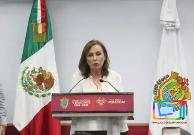 En Veracruz también es temporada de zopilotes