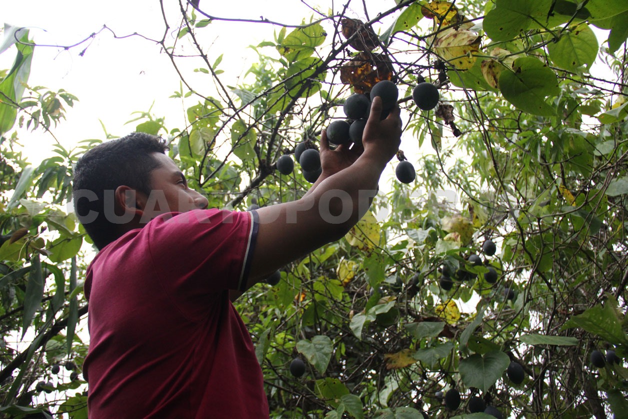 Producir alimentos con menos agua, la meta en agricultura