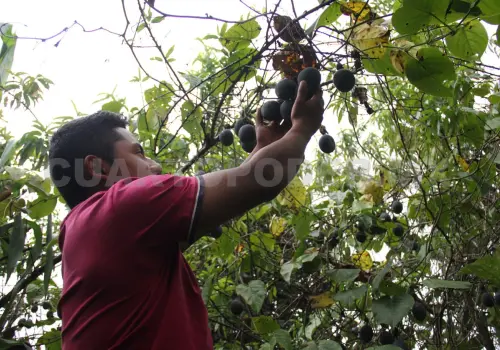 Producir alimentos con menos agua, la meta en agricultura