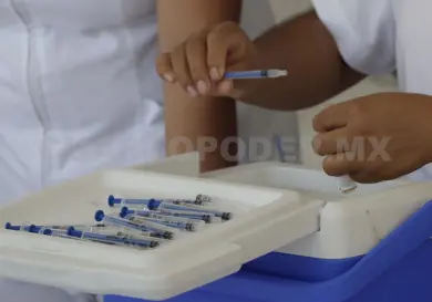 Lidera Chiapas casos autóctonos de paludismo