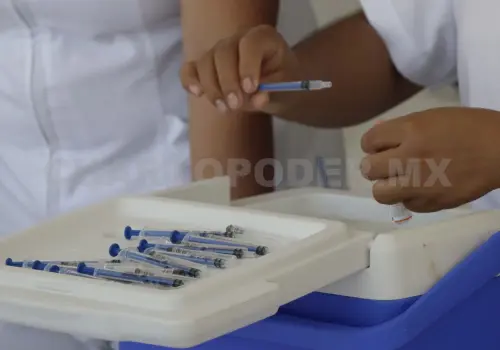 Lidera Chiapas casos autóctonos de paludismo