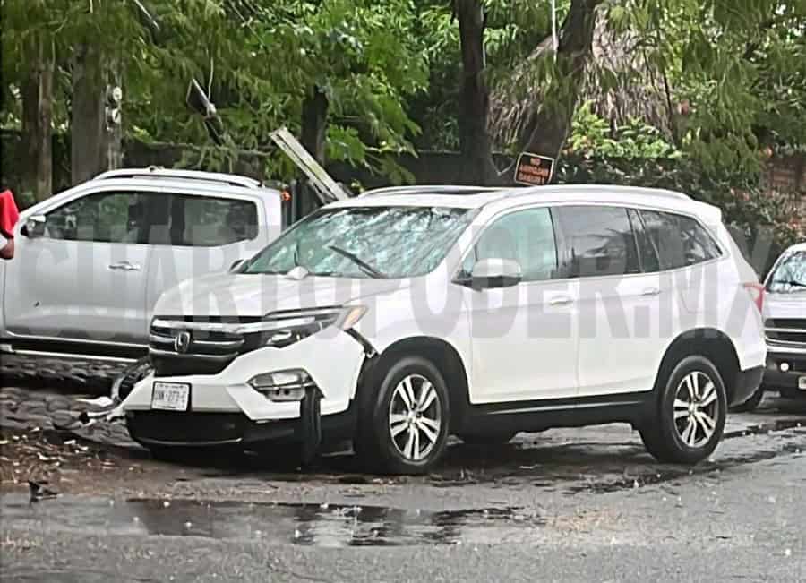 Esquiva a un perro y choca en árbol