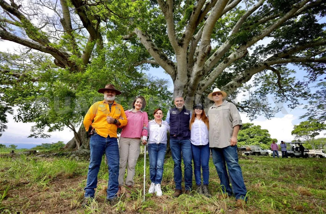 Ángel Torres reforesta el parque Guanacastle