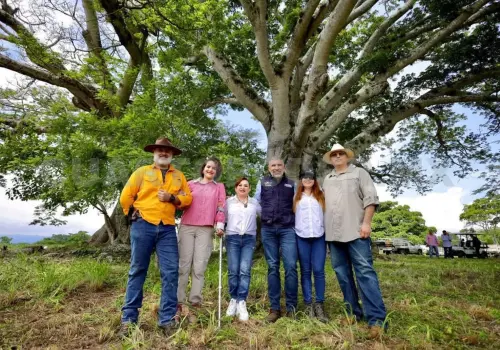 Ángel Torres reforesta el parque Guanacastle