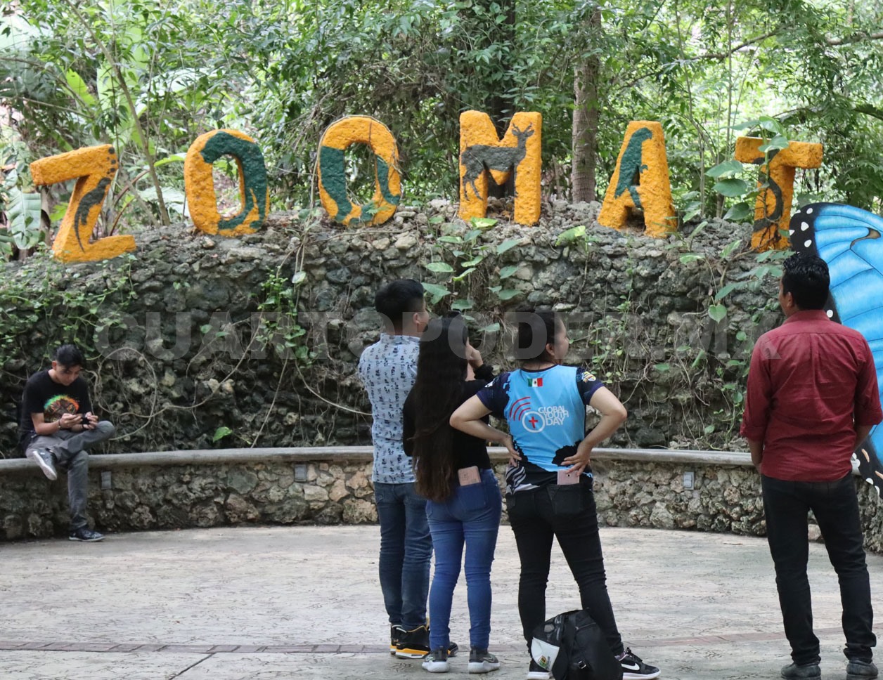 Espera ZooMAT superar los 400 mil visitantes