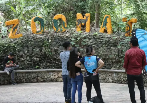 Espera ZooMAT superar los 400 mil visitantes