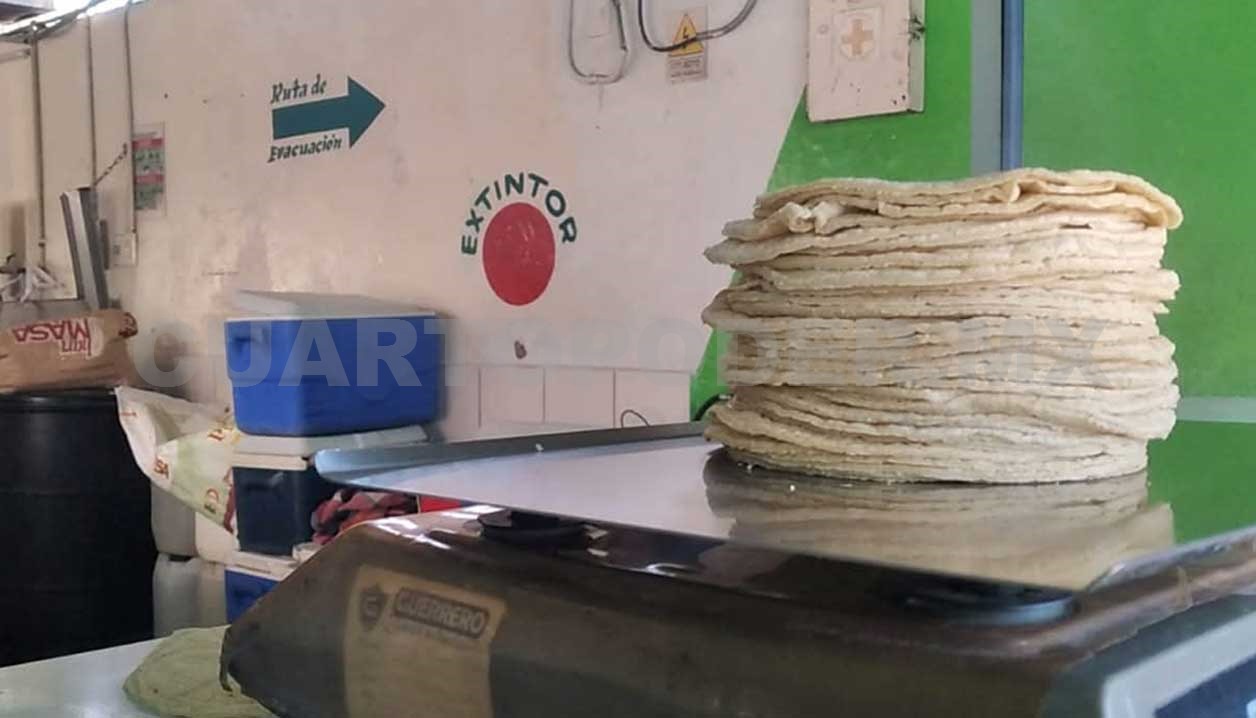 Difícil que tortilleros ingresen a acuerdo sobre el maíz