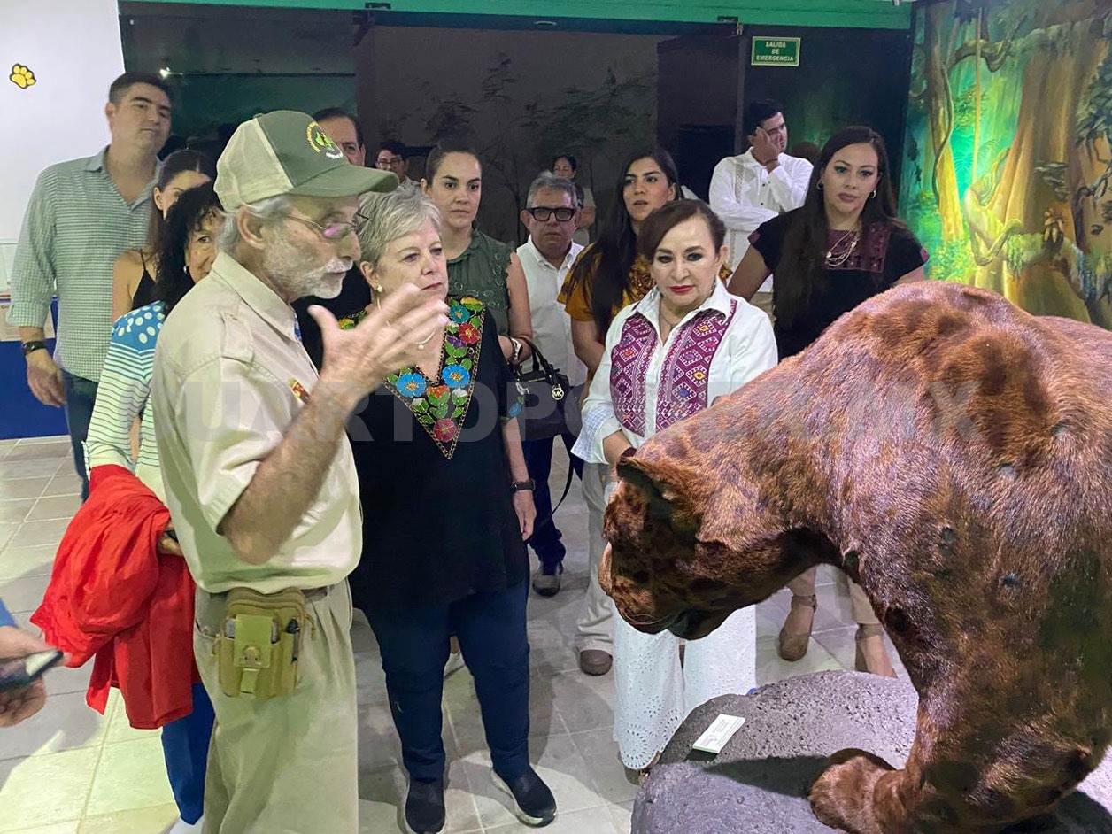 Un encuentro con la vida en el ZooMAT