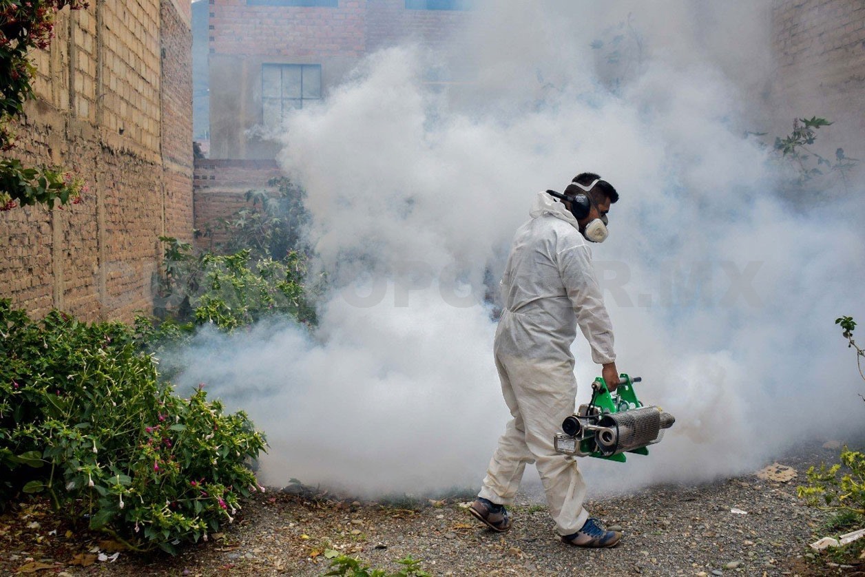 Semáforo verde por dengue; 81 % de reducción