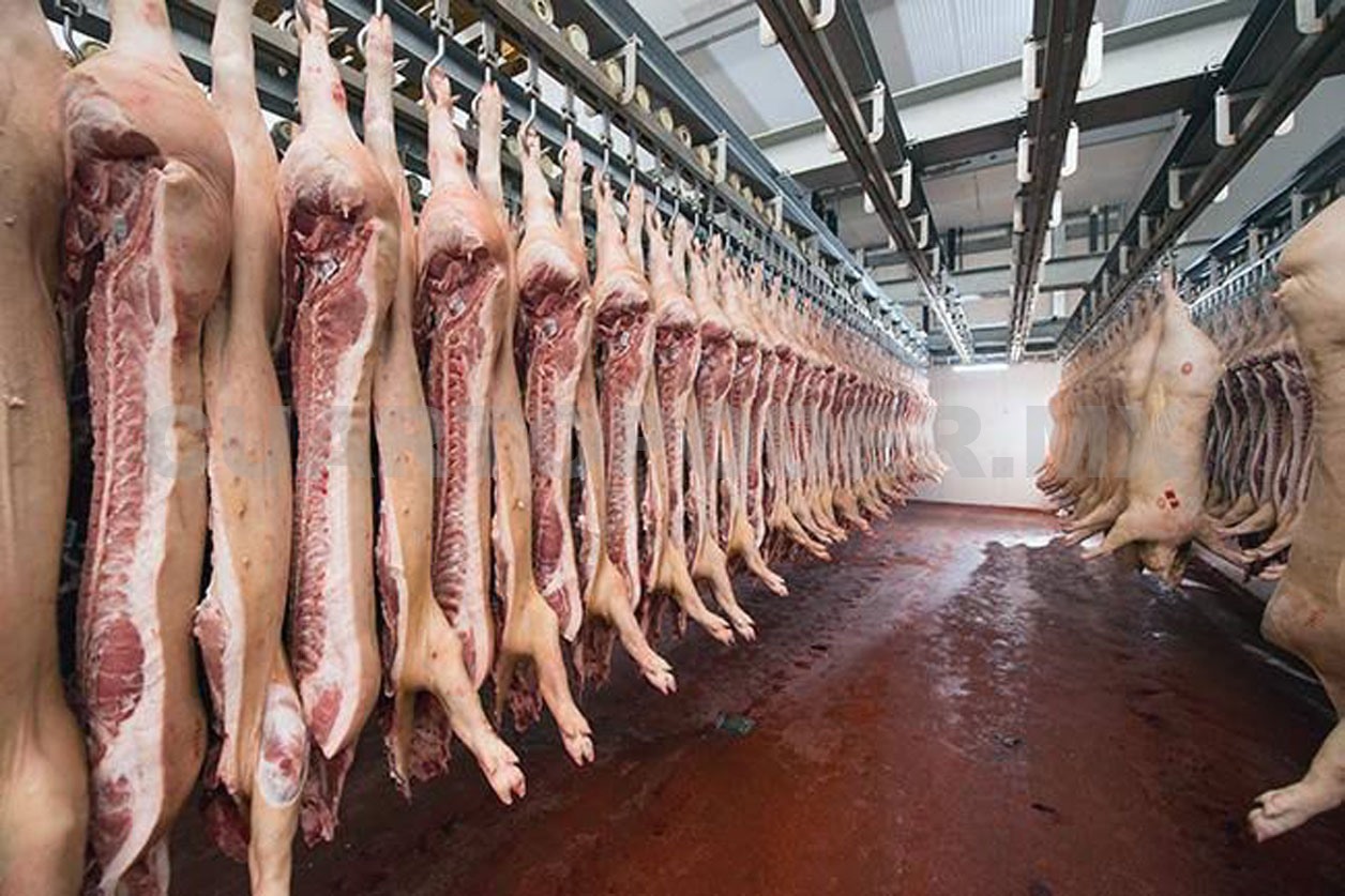 Supera carne local crisis inicial por barrenador