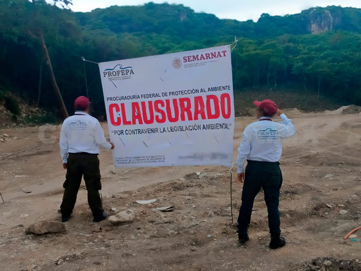 Clausuran predio por devastación de selva