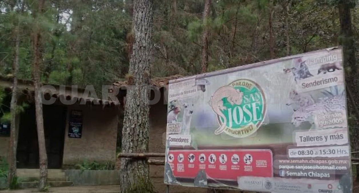 Director de zoológico renuncia por amenazas