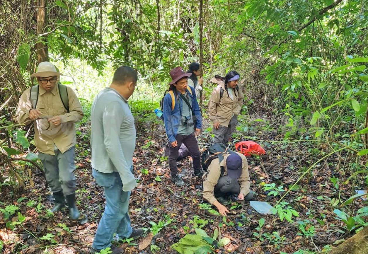 Realizan inventario de hongos en Montes Azules