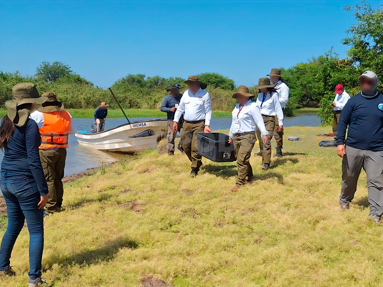 Liberan más de 2 mil tortugas tras rescate