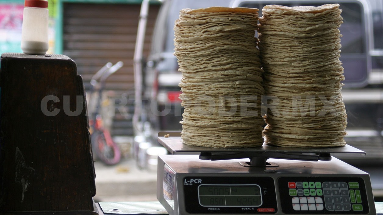 En 6 meses podría bajar el precio de la tortilla