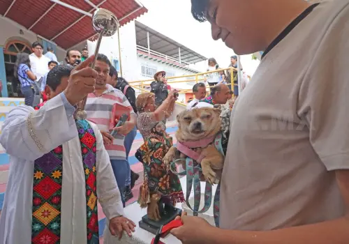 Mascotas reciben bendición en honor a San Roque