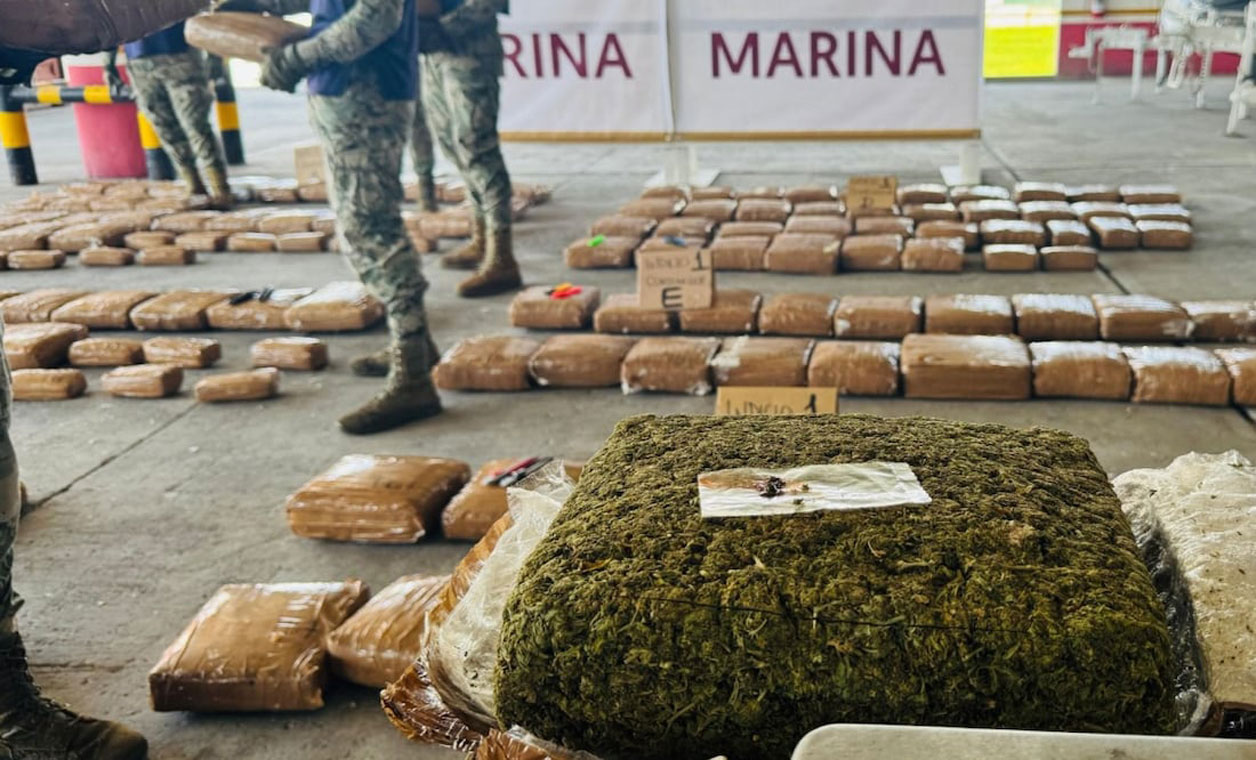 Aseguran 330 kilos de marihuana en Veracruz