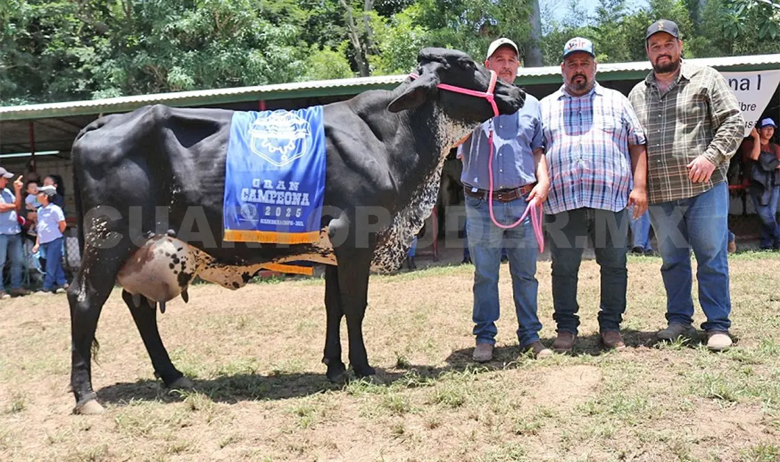 Entregan premios del concurso la Vaca Lechera