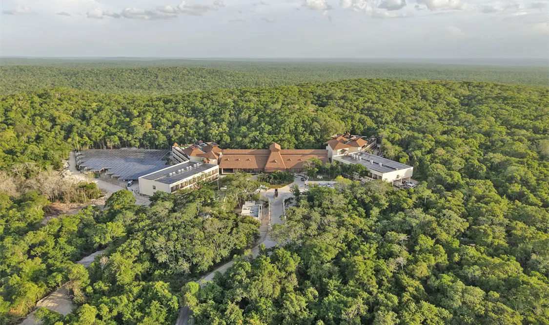 Ambientalistas pidieron incluirlos en estrategia de protección de la Gran Selva Maya que integra a Guatemala, Belice y México. Cortesía