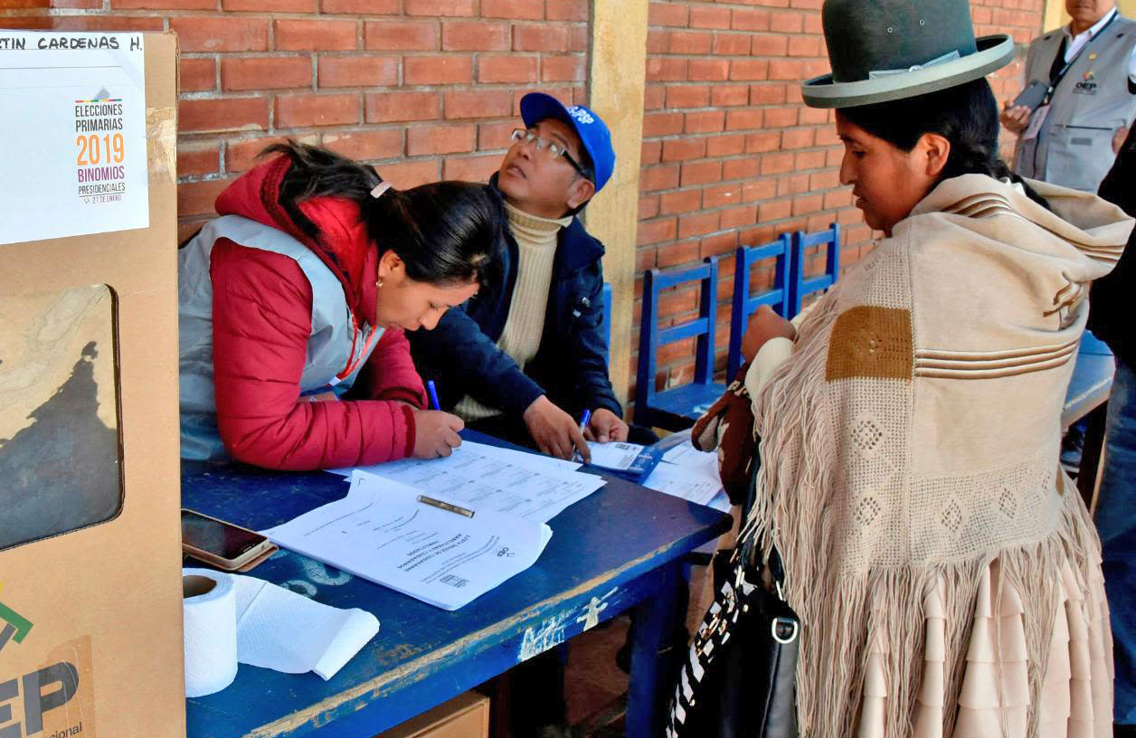 OEA llama a la participación responsable en elecciones