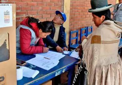 OEA llama a la participación responsable en elecciones