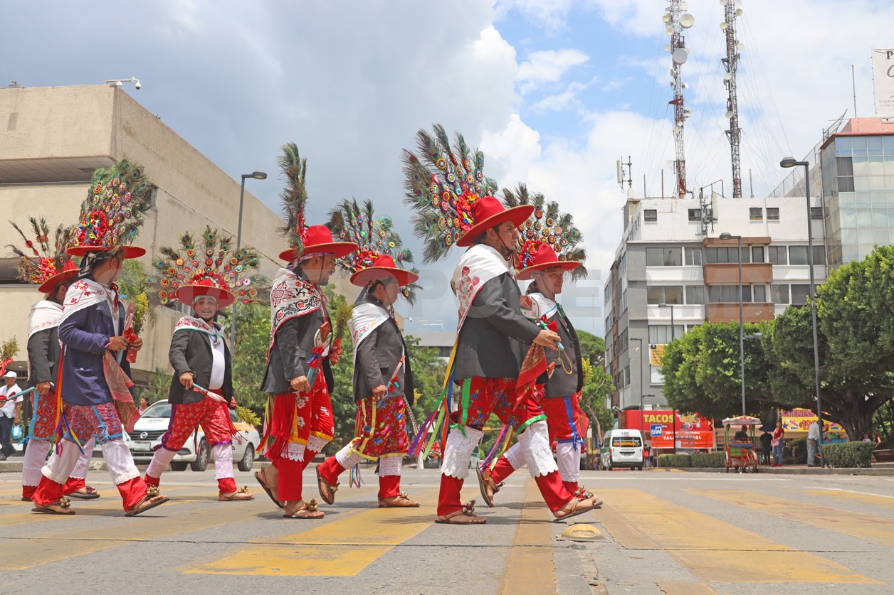 Baile de san Roque: tradición zoque viva
