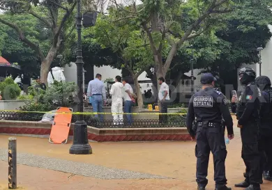 Hallan muerto a indigente en unas jardineras