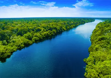 Animales que te sorprenderán Animales que te sorprenderán